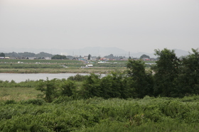 利根川左岸の大会中央本部方面