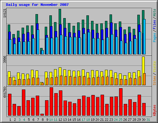 Daily usage for November 2007