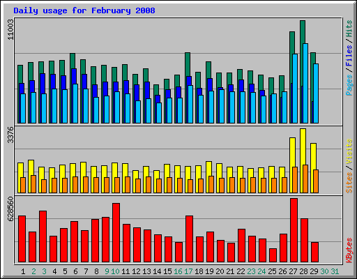 Daily usage for February 2008