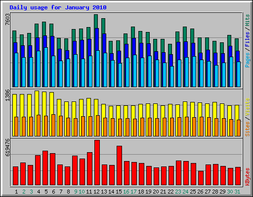 Daily usage for January 2010