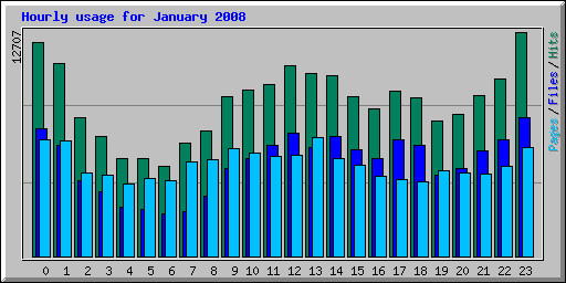 Hourly usage for January 2008