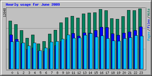 Hourly usage for June 2009
