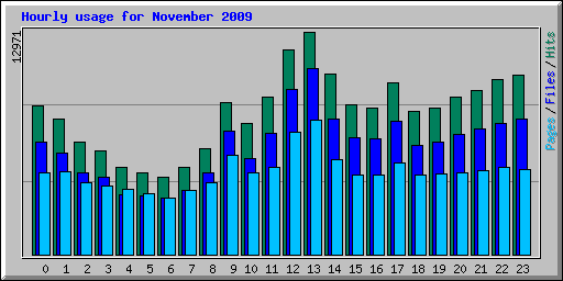 Hourly usage for November 2009