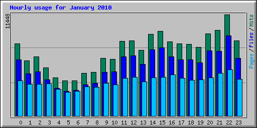 Hourly usage for January 2010