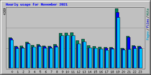 Hourly usage for November 2021