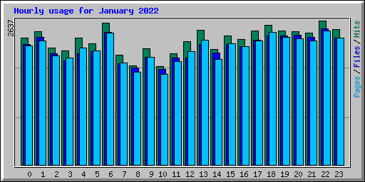 Hourly usage for January 2022